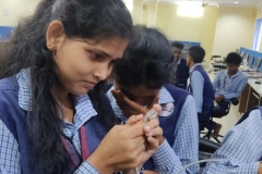 Students doing practical